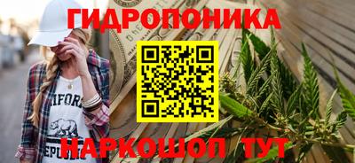 тгк Гай