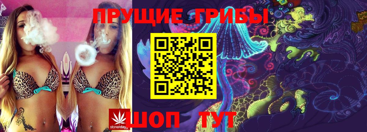 Псилоцибиновые грибы мицелий Новый Уренгой
