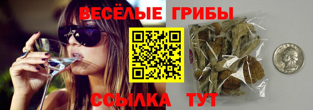 Новый Уренгой  Псилоцибиновые грибы Cubensis  Псилоцибиновые грибы Cubensis  Вход с VPN 